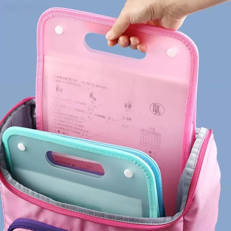 13 Cepli A4 Akordeon Dosya Düz - Expandable Accordion File Folder 13 Pockets incelemesi ve fiyatı